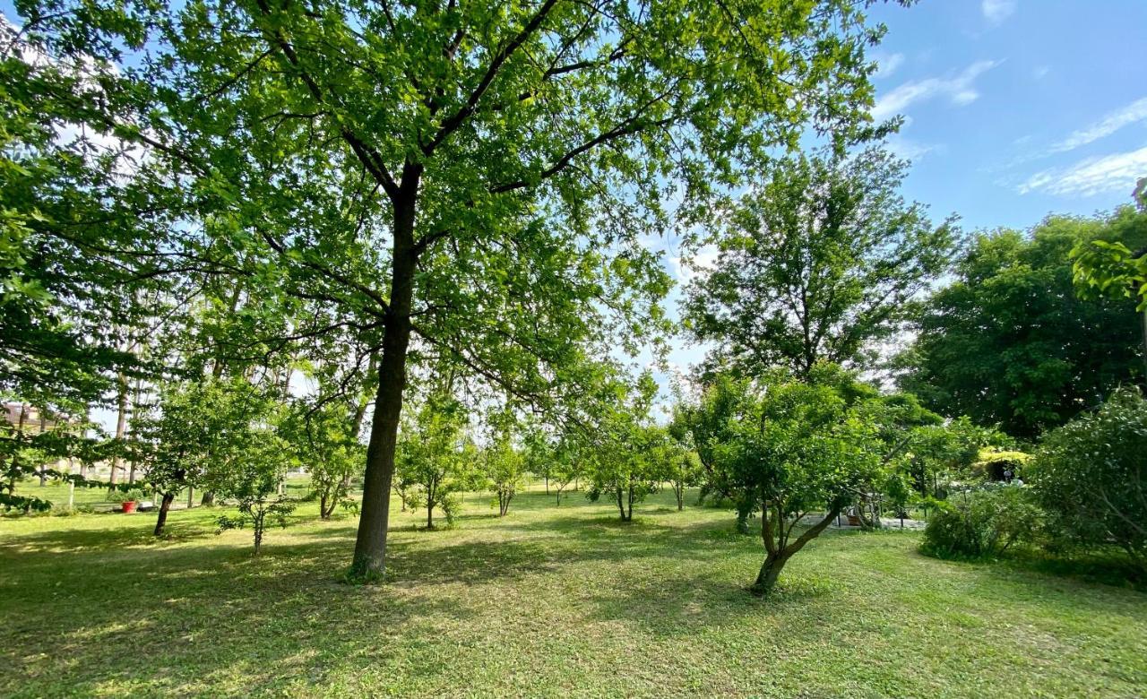 Locanda Del Molino Vecchio Magliano Alfieri ภายนอก รูปภาพ