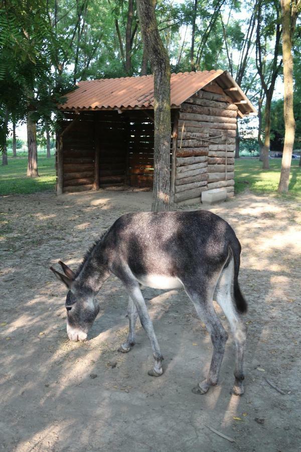 Locanda Del Molino Vecchio Magliano Alfieri ภายนอก รูปภาพ